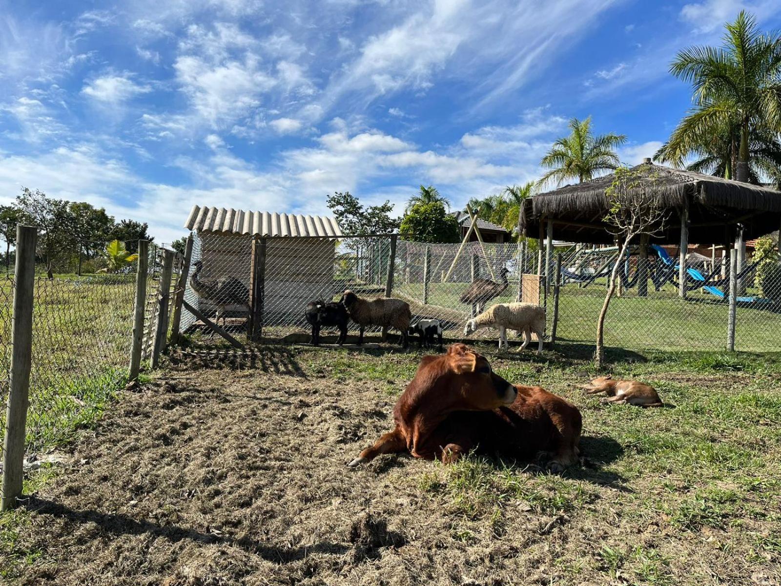 La Palma Hotel Fazenda Indaiatuba Buitenkant foto